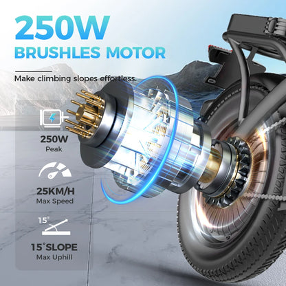 UPlee GS3 Electric Bike 48V 15AH 250W Motor Electric Bicycle 20KM/H Max Speed Motorcycle Style E-bike